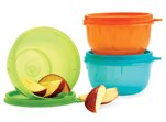 Tupperware Sales Consultant 