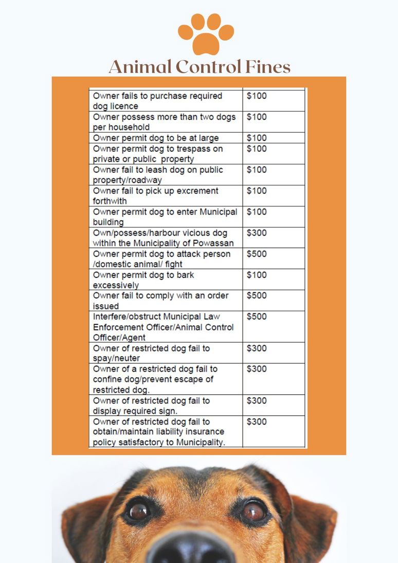 Animal Control Fees
